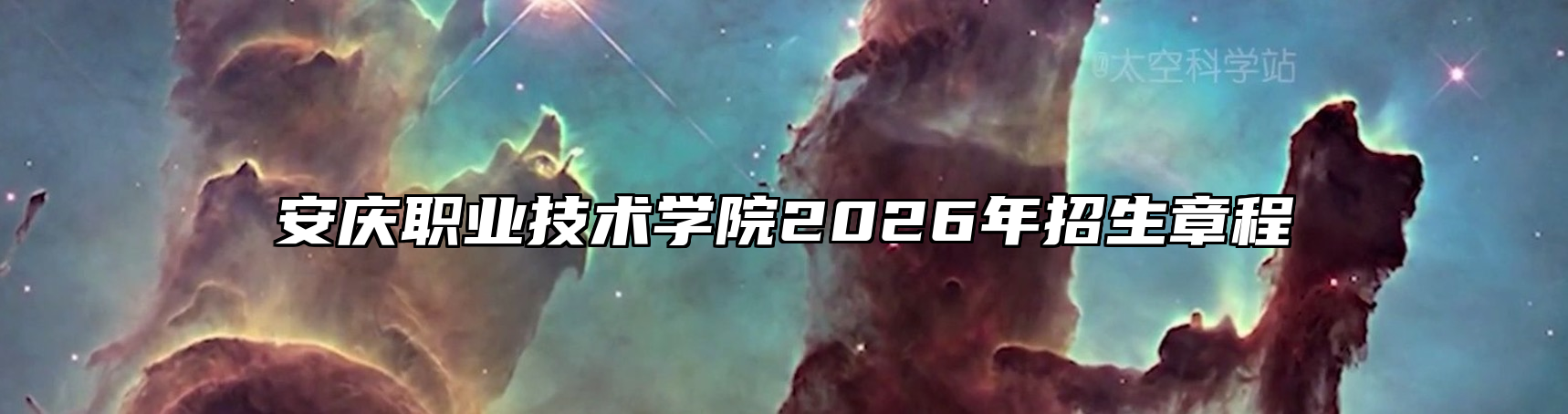 安庆职业技术学院2026年招生章程