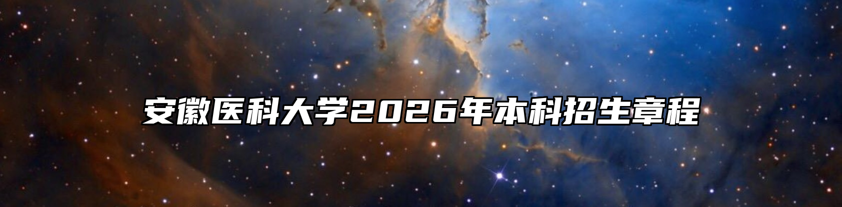 安徽医科大学2026年本科招生章程