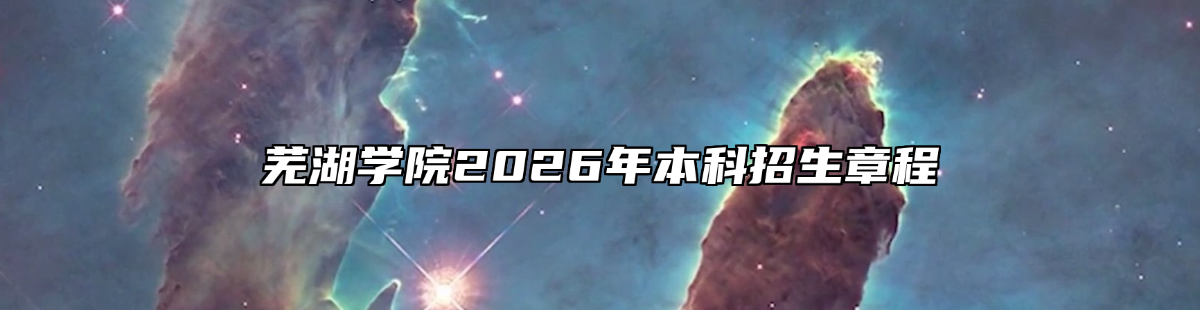 芜湖学院2026年本科招生章程