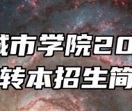 苏州城市学院2024年专转本招生简章