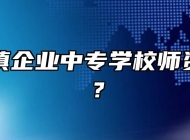 阜阳乡镇企业中专学校师资怎么样？
