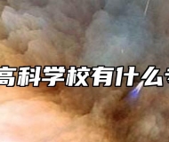 合肥高科学校有什么专业？
