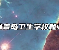 山东省青岛卫生学校就业保障