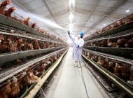 安徽亳州机电信息工程学校畜禽生产技术简介