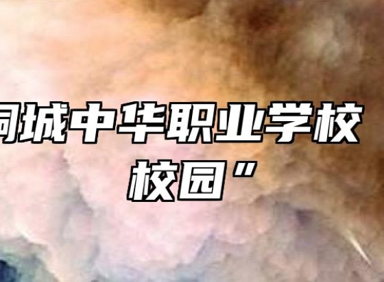 安徽省桐城中华职业学校“戏曲进校园”
