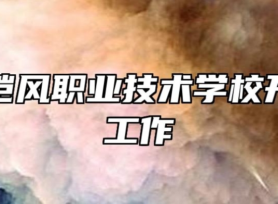太湖县恺风职业技术学校开展年检工作