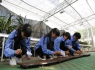 安徽霍山职业学校中草药栽培专业