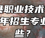 固镇县职业技术学校2024年招生专业有哪些？