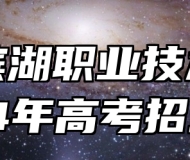 合肥滨湖职业技术学院2024年高考招生章程