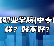 安徽艺术职业学院(中专部) 怎么样？好不好？