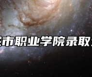 滁州城市职业学院录取分数线