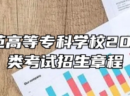 桐城师范高等专科学校2024年分类考试招生章程
