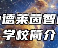 淄博中德莱茵智能科技学校简介