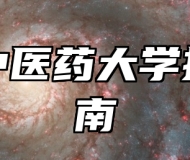 南京中医药大学报考指南