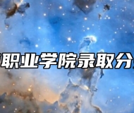 徽商职业学院录取分数线