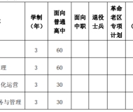 合肥幼儿师范高等专科学校2023年分类考试招生计划