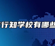 安徽省行知学校有哪些专业？