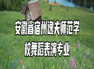 安徽省宿州逸夫师范学校舞蹈表演专业