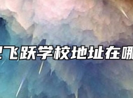 合肥飞跃学校地址在哪里？