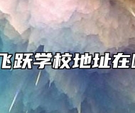 合肥飞跃学校地址在哪里？