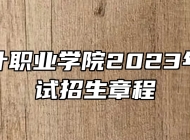 安徽审计职业学院2023年分类考试招生章程