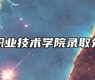 黄山职业技术学院录取分数线