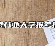 南京林业大学报考指南