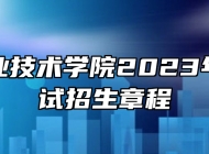 六安职业技术学院2023年分类考试招生章程