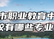 莱西市职业教育中心学校有哪些专业？