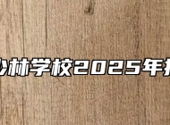 合肥北少林学校2025年招生简章