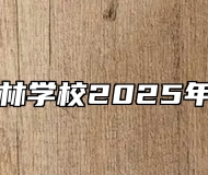 合肥北少林学校2025年招生简章