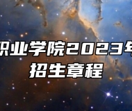 阜阳科技职业学院2023年分类考试招生章程