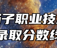 安徽扬子职业技术学院录取分数线