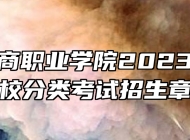 安徽工商职业学院2023年高职院校分类考试招生章程