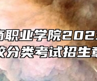 安徽工商职业学院2023年高职院校分类考试招生章程