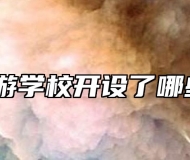 宣城旅游学校开设了哪些专业？