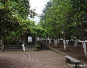 安徽林业职业技术学院校园环境
