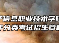 安徽电子信息职业技术学院2024年分类考试招生章程