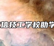 合肥立信技工学校助学政策 