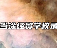 马鞍山当涂经贸学校录取标准