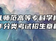 阜阳幼儿师范高等专科学校2024年分类考试招生章程