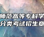 阜阳幼儿师范高等专科学校2024年分类考试招生章程