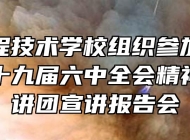 安徽工程技术学校组织参加学习贯彻党的十九届六中全会精神省委宣讲团宣讲报告会