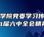 安庆技师学院党委学习传达党的十九届六中全会精神