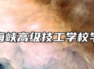 桐城市海峡高级技工学校学校荣誉