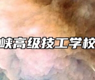 桐城市海峡高级技工学校学校荣誉