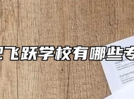 合肥飞跃学校有哪些专业?