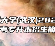 中国地质大学(武汉)2023年成人高考专升本招生简章