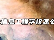 颍上信息工程学校怎么样？