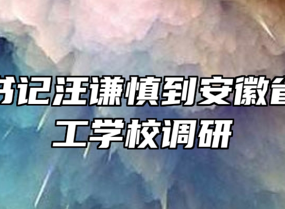 市委副书记汪谦慎到安徽省淮南技工学校调研